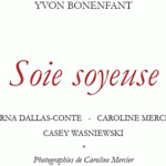 soie-soyeuse-1